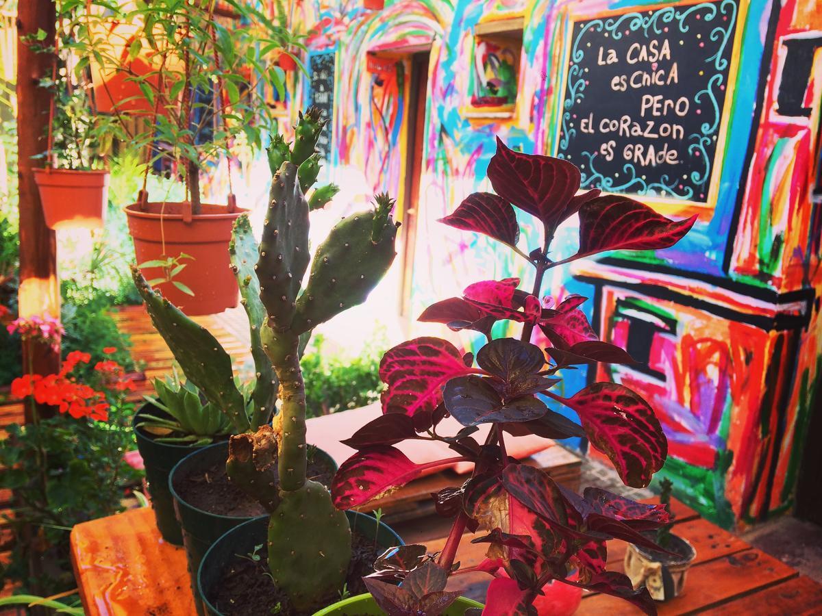 La Puerta Verde Hostel & Bar ウマウアカ エクステリア 写真